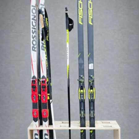 Suusariiul suuskade ja suusakeppide hoidmiseks